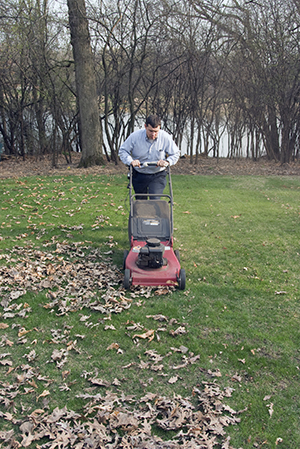 iStock_mowing-leaves...
