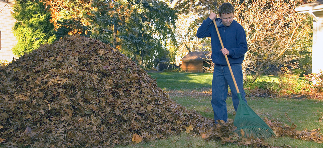 Avoid fines and contaminating when dealing with leaves, yard waste