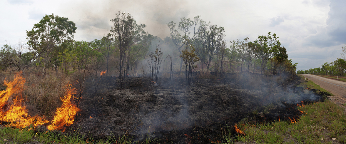 WHAT YOU DO NOW CAN HELP KEEP YOUR PROPERTY SAFE FROM WILDFIRES LATER