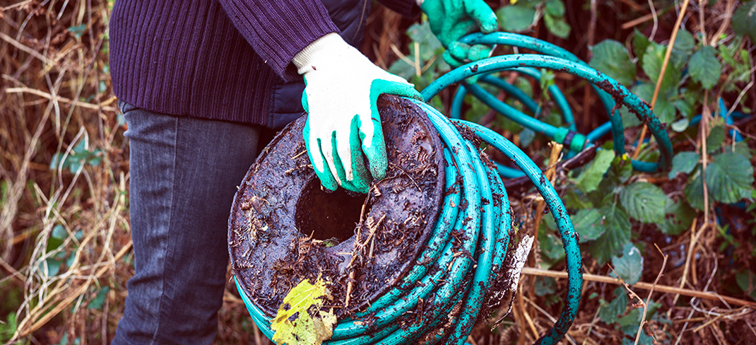 Helping your yard to hibernate – and saving water and money