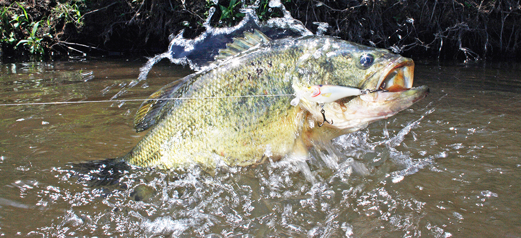 LOOKING TO LAND A PRIZED FISH?   BRA RESERVOIRS PROVIDE RECORD-SETTING OPPORTUNITIES