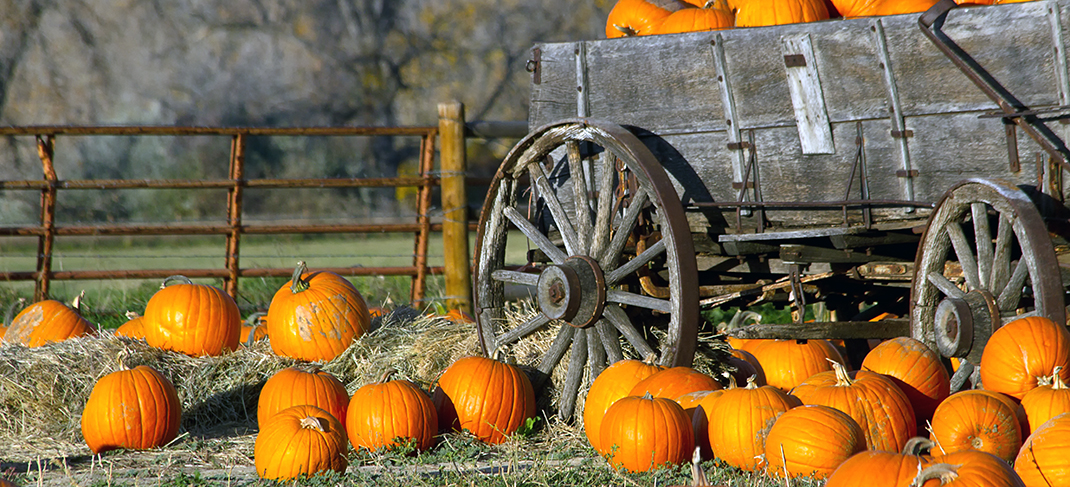 BRAZOS RIVER ROUNDUP FOR OCTOBER