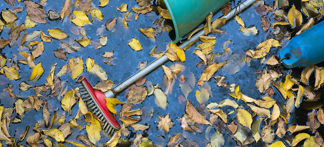 TACKLING LEAVES, YARD WASTE PROTECTS ENVIRONMENT & CAN SAVE YOU MONEY