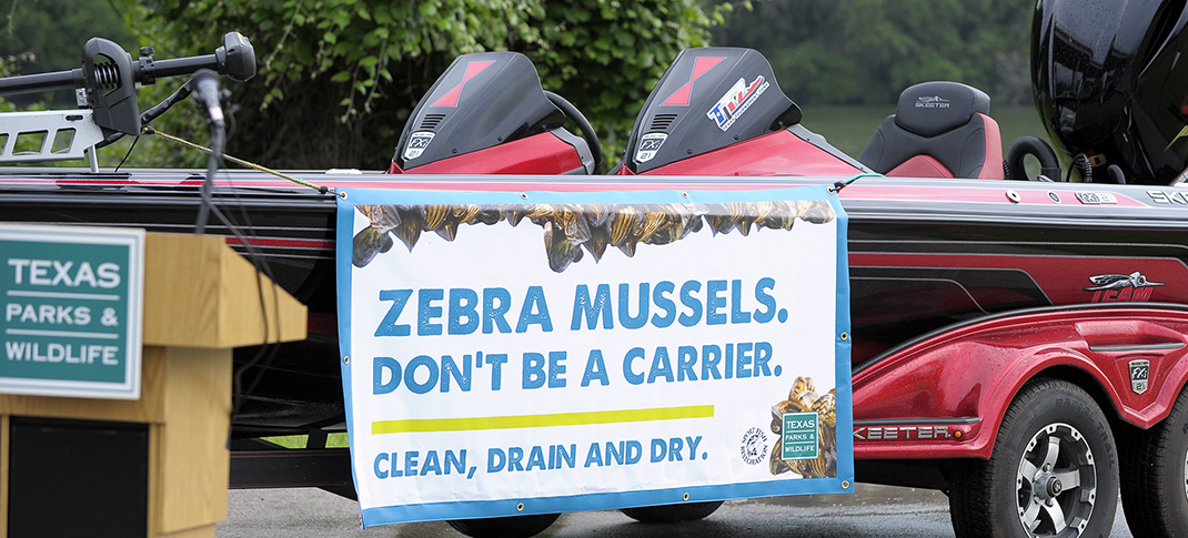 WINTER COLD DOESN’T DIMINISH ZEBRA MUSSEL THREAT