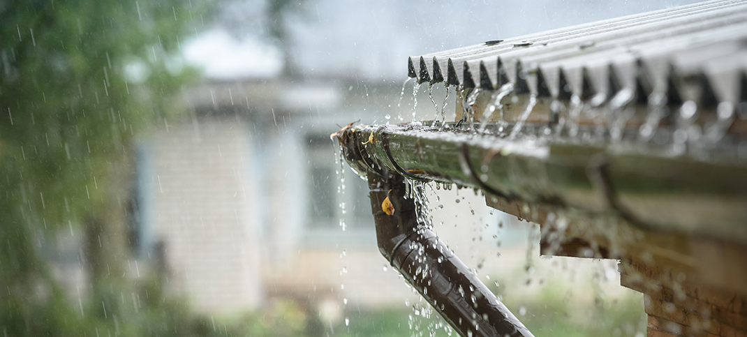 Collect rainwater, save money and water resources