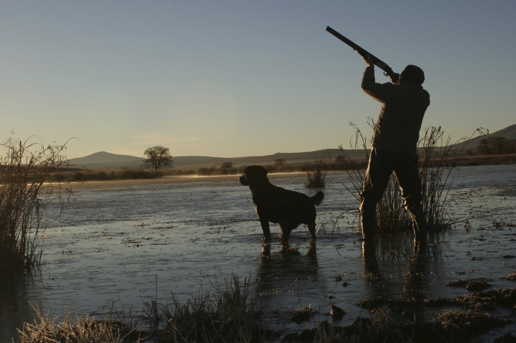 iStock_duckhunting-o...