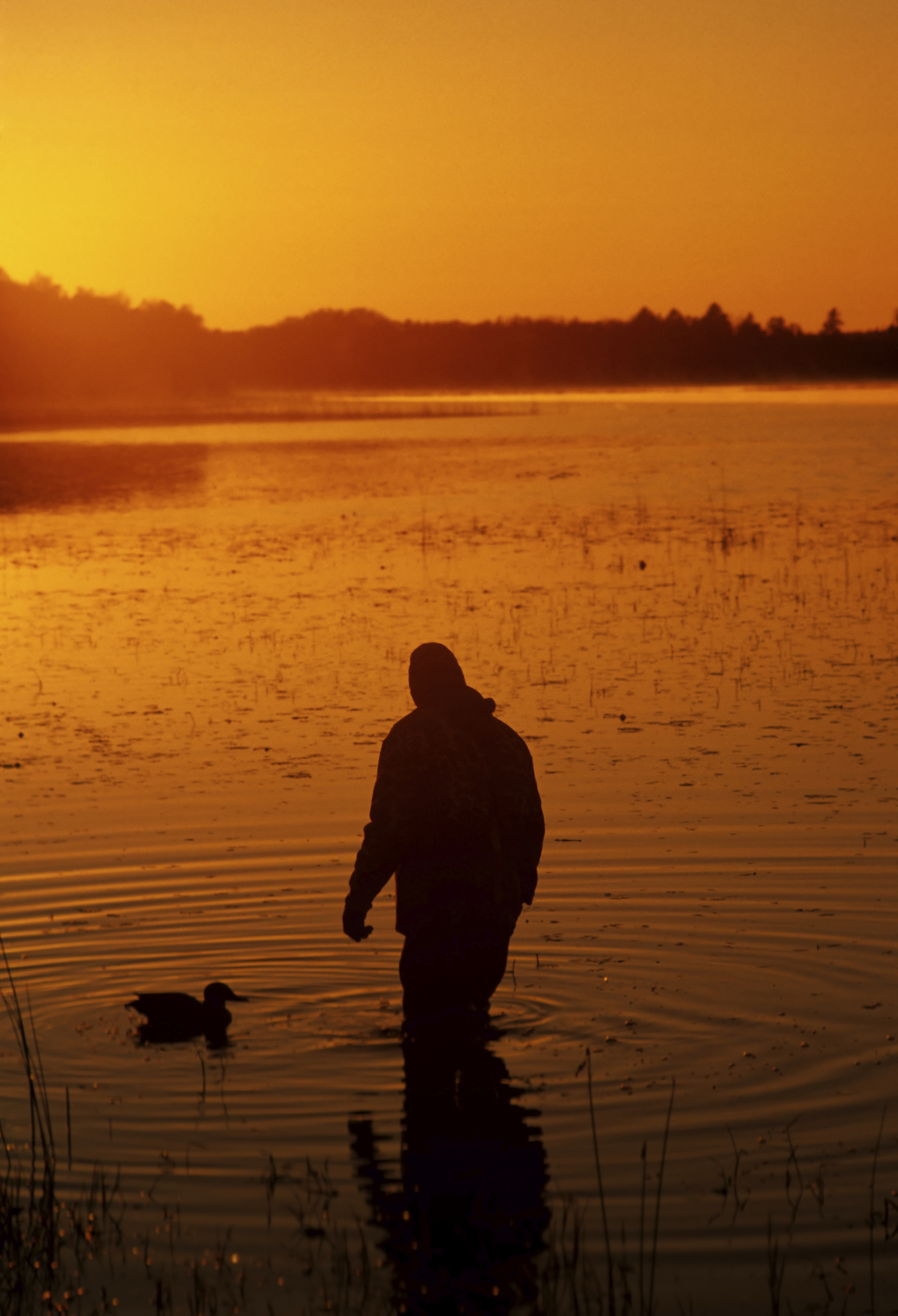 iStock_waterfowlhunt...