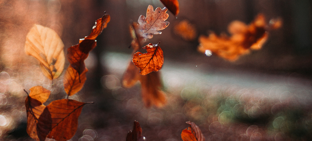 Fall in Love with Nature with these Brazos River Basin Events