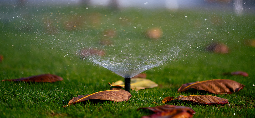 Do you change watering practices come winter?