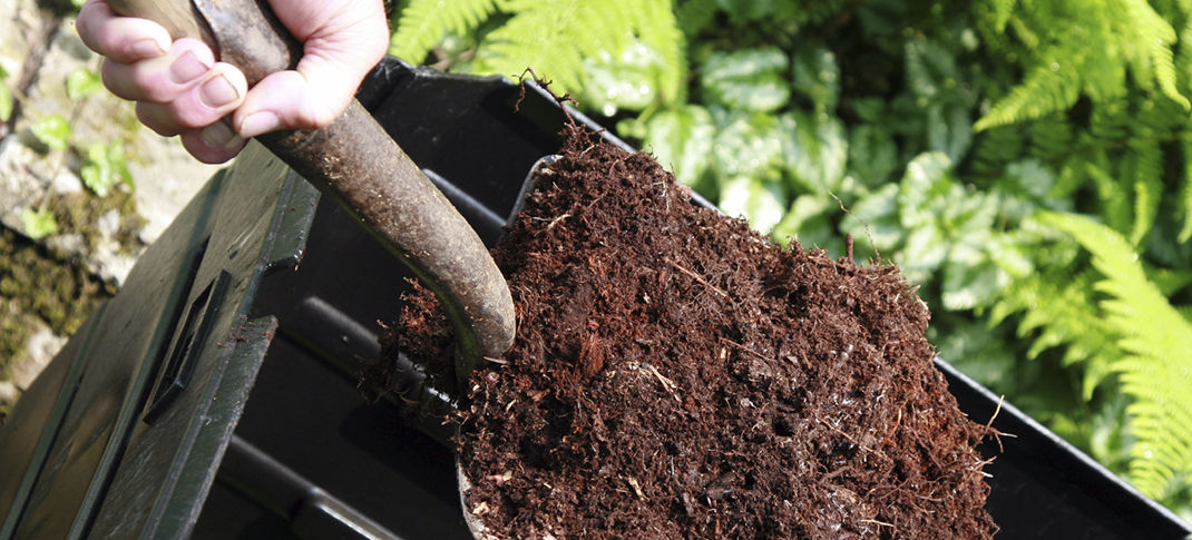 Composting Improves Your Garden and Our Planet