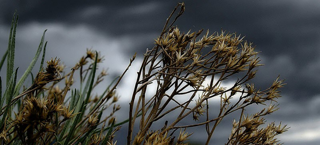 Possible easing La Niña and late spring rains could dampen drought