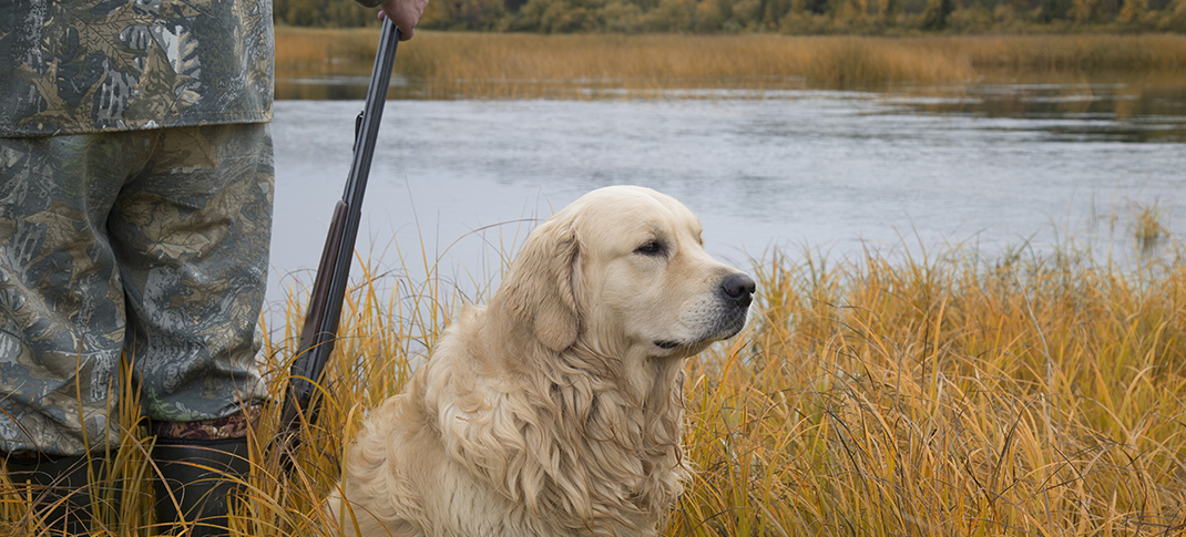 Enter August drawing for waterfowl hunting location at BRA reservoirs