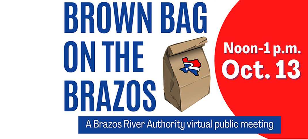 Bring your questions and join us for the next Brown Bag on the Brazos