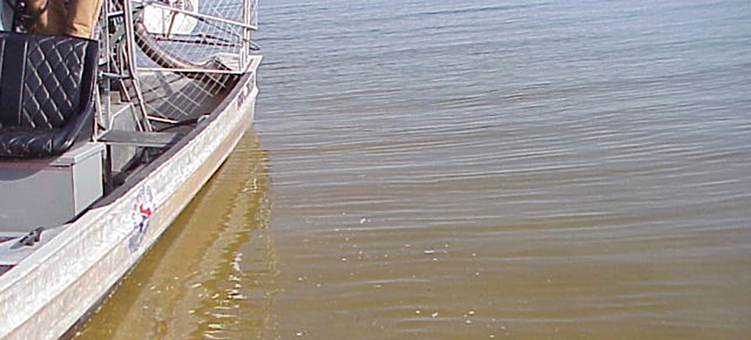 Has golden algae been found in the Brazos River basin?