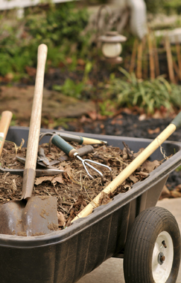 Wheelbarrow with garden tools and compost