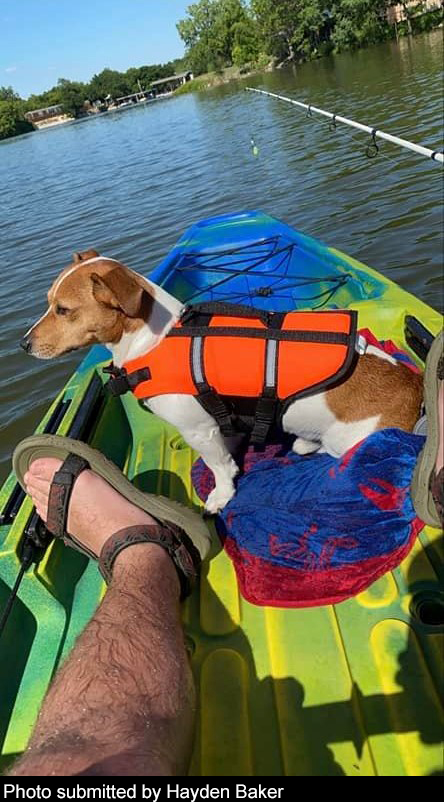 White and brown dog in a life jacket on a kayak on the water