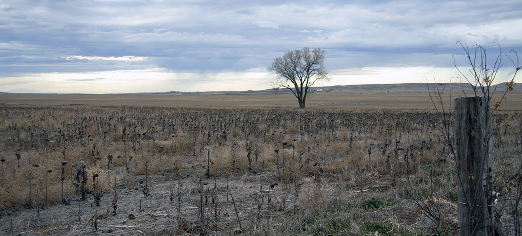 Drought levels increasing daily. What’s next?