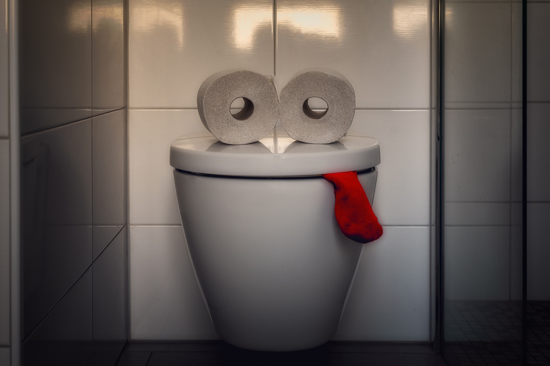 A toilet made to look like a face with the use of angled toilet rolls and a red sock