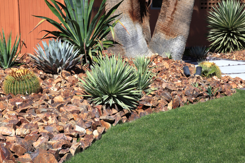 Example of a xeriscaped lawn