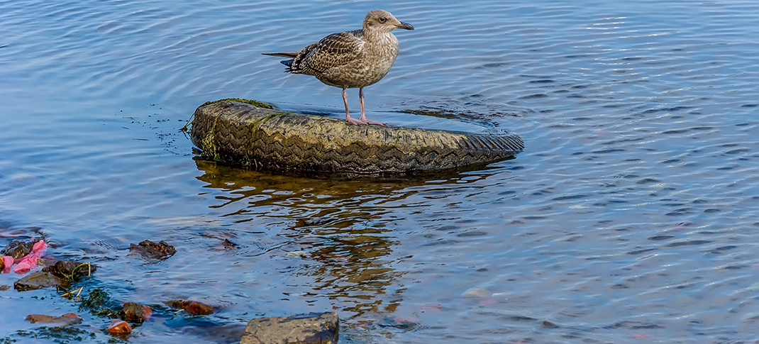 Does a clean river matter to you?