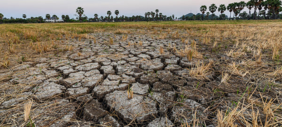La Niña is gone, now what?