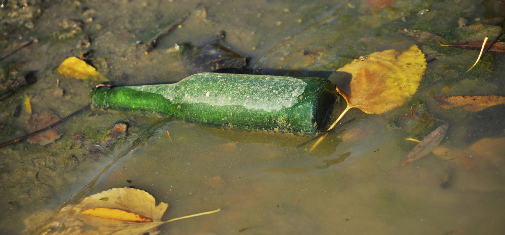 Help is a phone call away