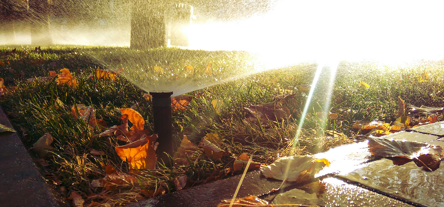 New season? Time for new watering schedules