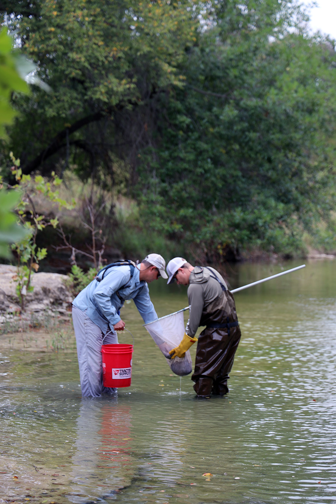 Collecting biological samples.