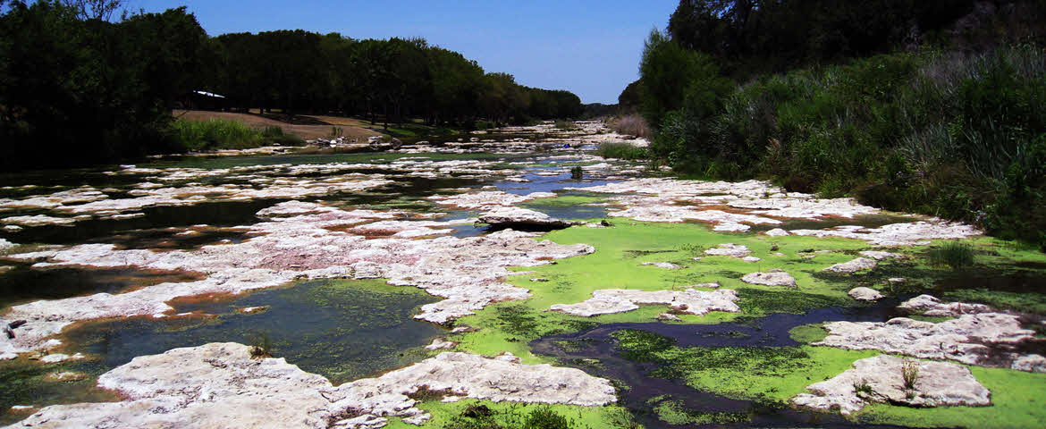 Natures hidden toxins could be hard to see 