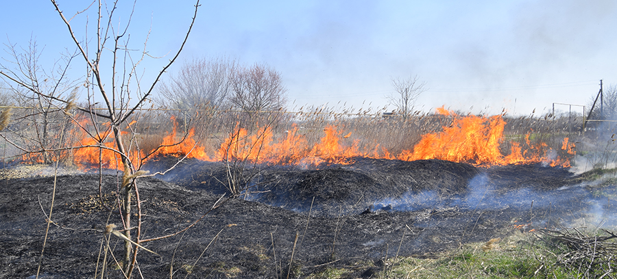Engaging kids in wildfire prevention