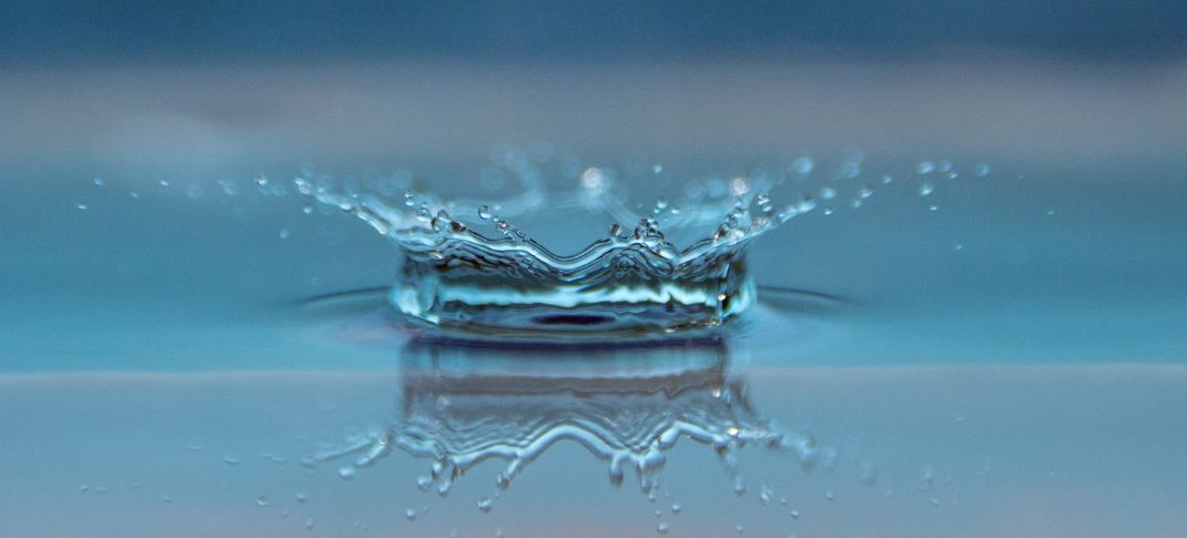 Are you a water hog or a water saver?