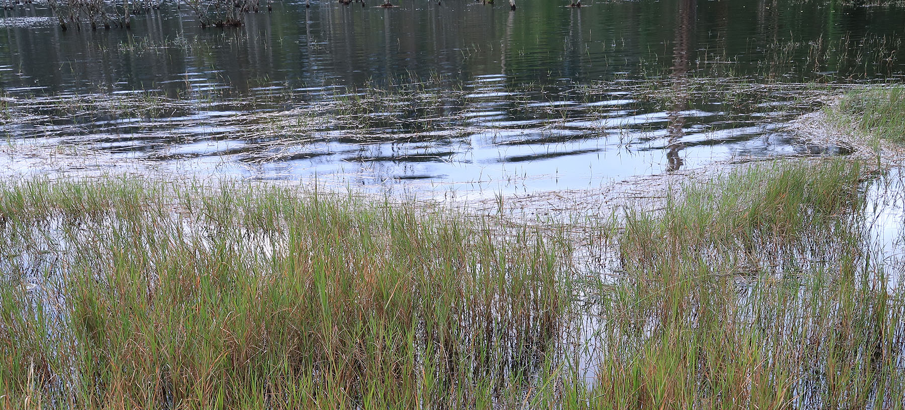 How everyday actions shape the health of our watersheds
