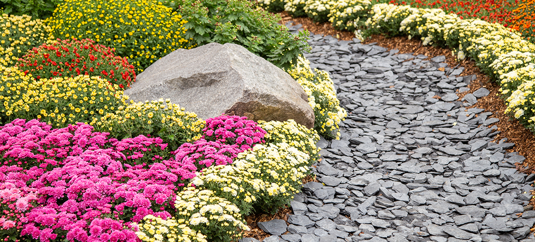 Make your fall garden flourish!