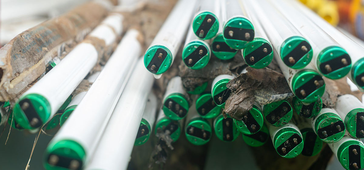 Are you disposing of those light bulbs correctly?