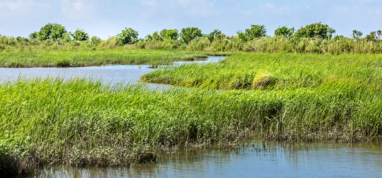 Not all superheroes wear capes