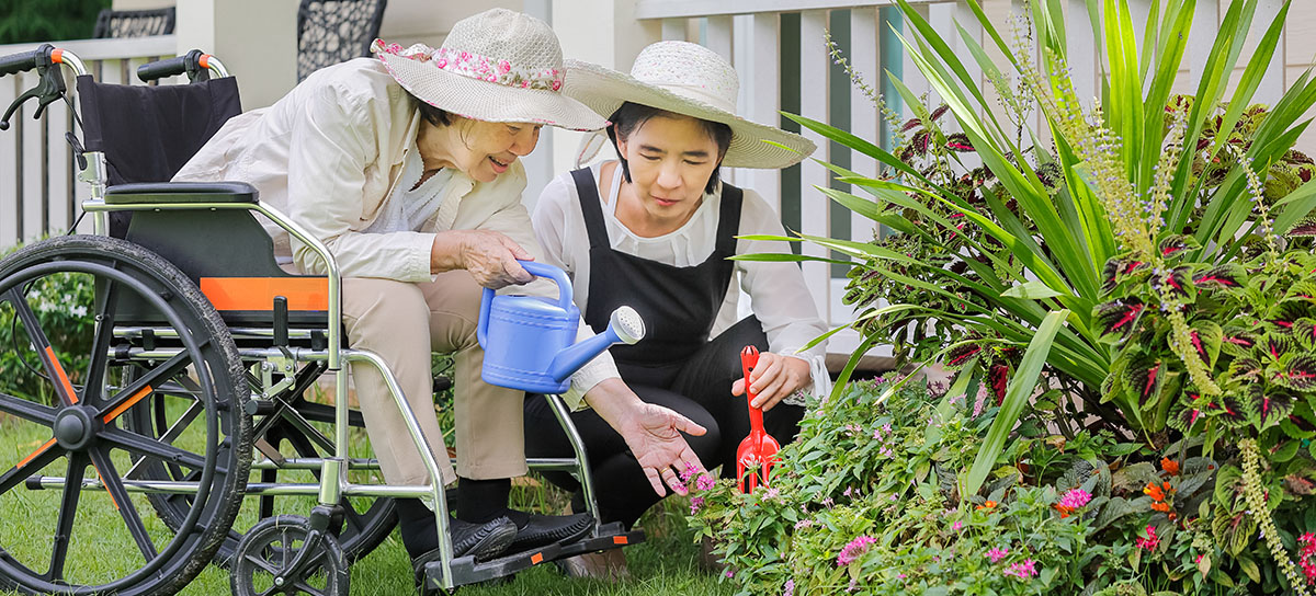 Spring gardening 101: mulch and compost for healthier plants