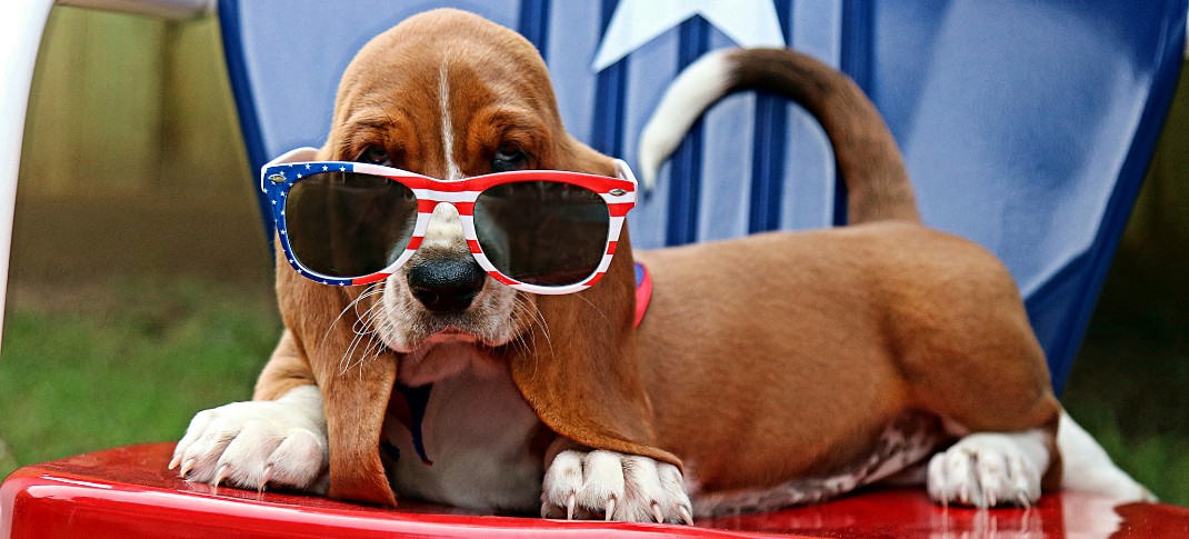 What’s your plan for the 4th of July?