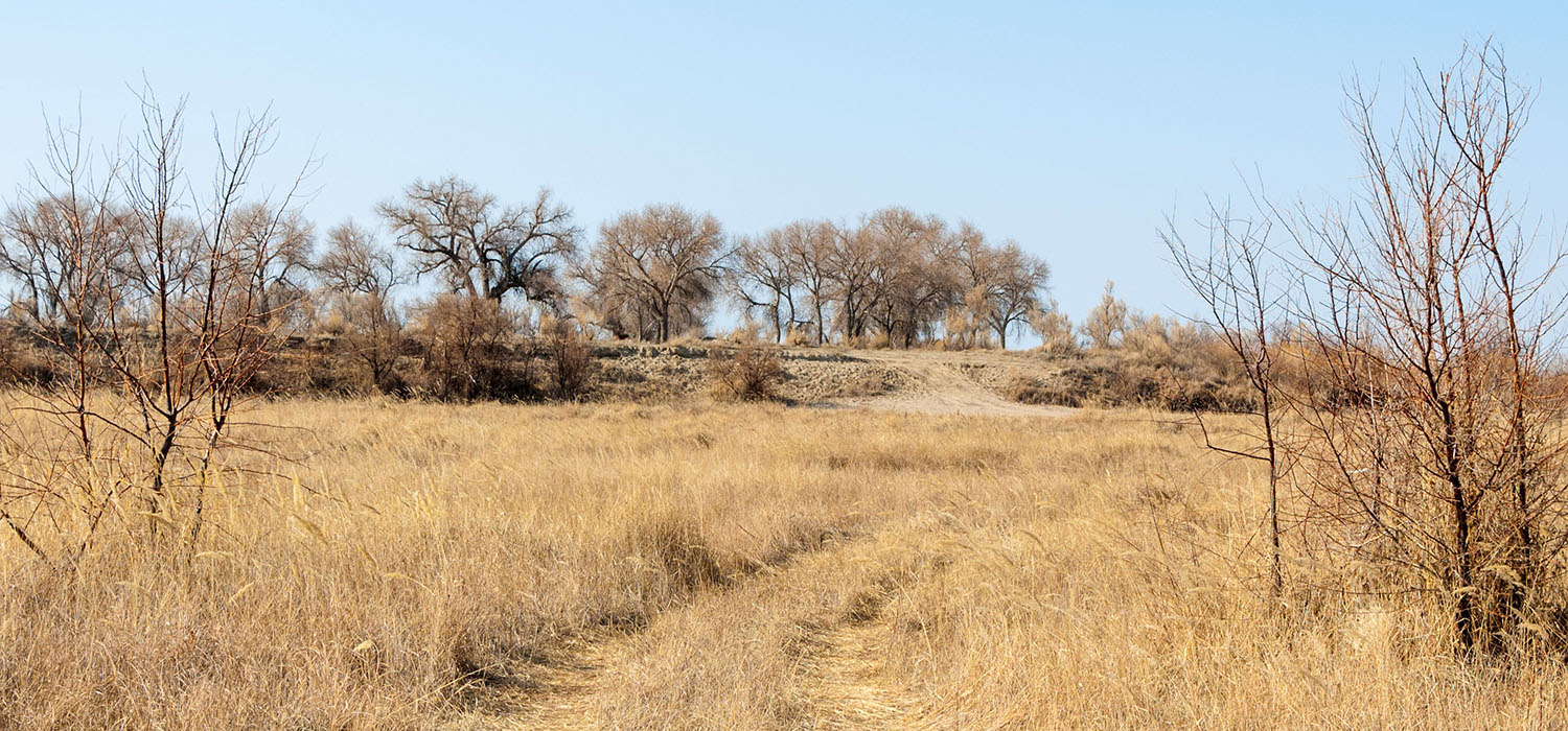 What climate experts are watching this winter in the Brazos River Basin