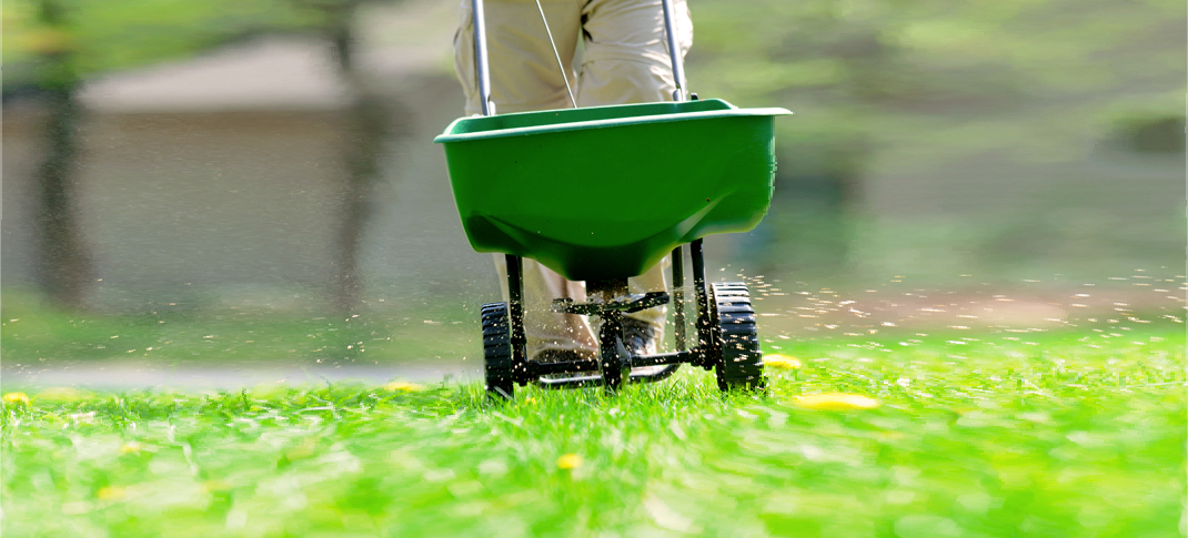 Feed your lawn, not the lake