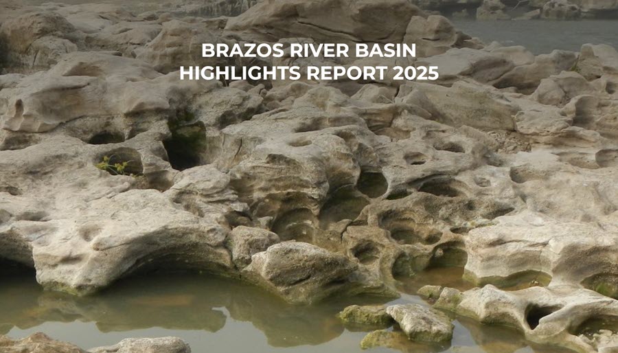 2025 Basin Highlights