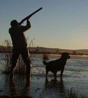 Waterfowl Hunting