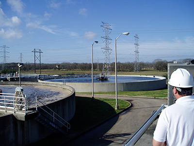 South Plant