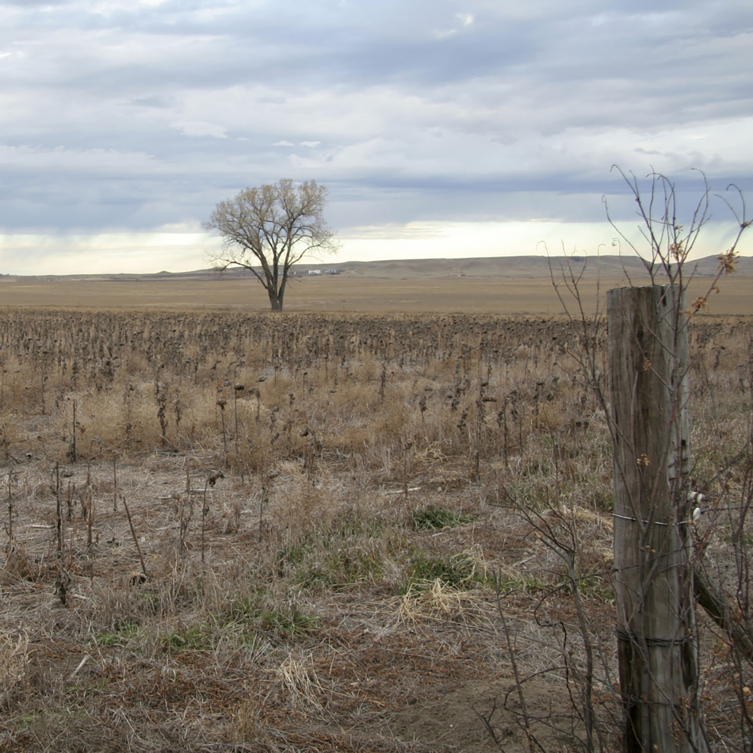 Drought conditions in the basin