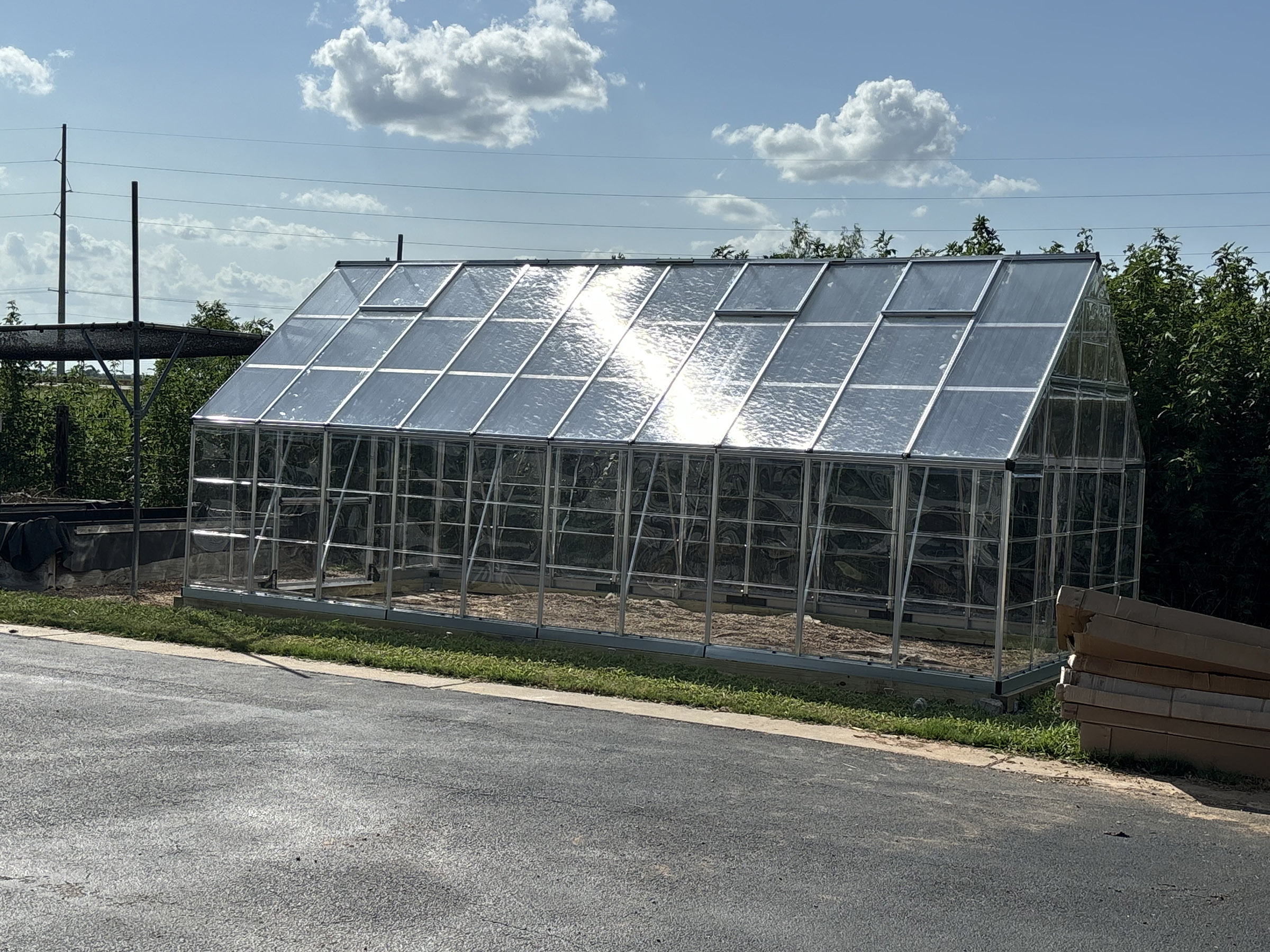 Drinking water in the sun